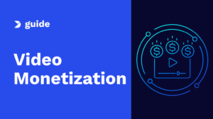 The Professional Guide to Video Monetization