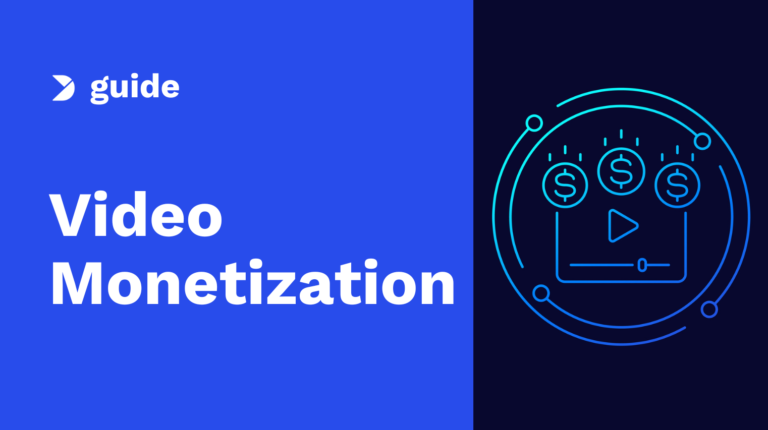 The Professional Guide to Video Monetization Image