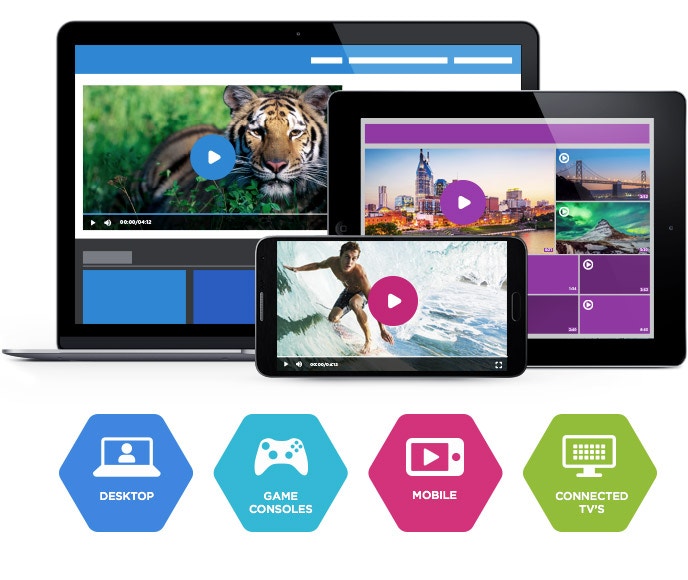 Brightcove Video Streaming Hosting Provider