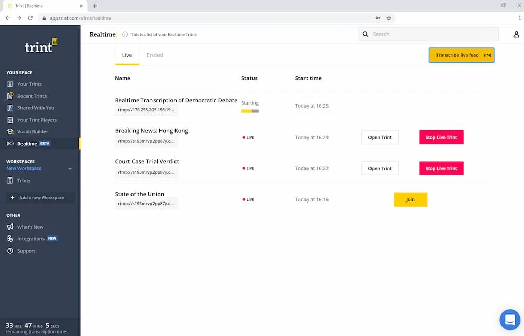 Professional Transcription Software Interface